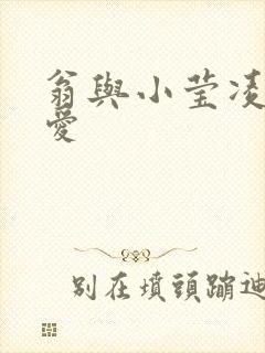 翁与小莹凌晨欢爱