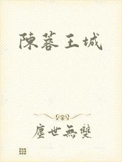 陈蓉王城封面