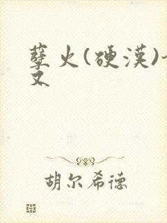 孽火(硬汉)今又
