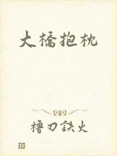 大桥抱枕