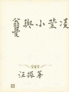 翁与小莹凌晨欢爱