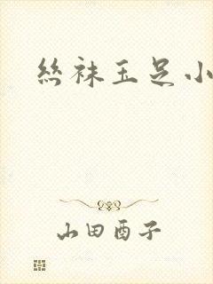 丝袜玉足小说