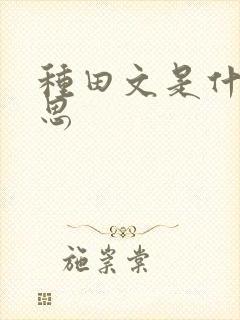 种田文是什么意思封面