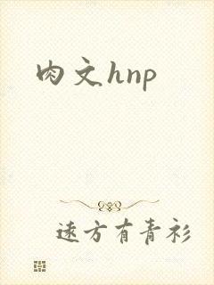 肉文hnp