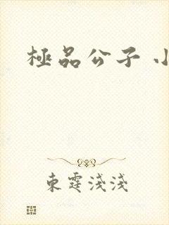 极品公子 小说