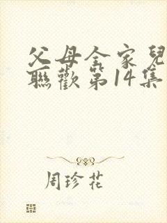 父母全家儿女大联欢第14集封面