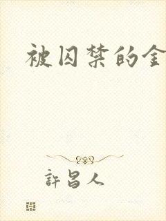 被囚禁的金丝雀封面