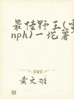 最佳野王(电竞nph)一坨薯饼