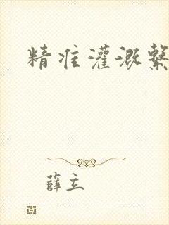 精准灌溉系统