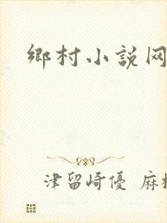 乡村小说网封面