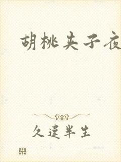 胡桃夹子夜未眠