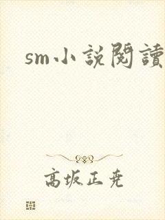 sm小说阅读