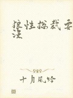 狼性总裁要够了没
