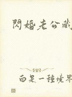 闪婚老公藏不住