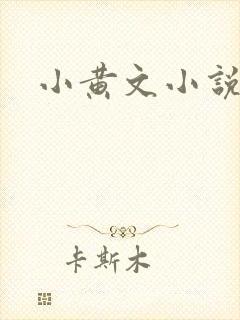 小黄文小说