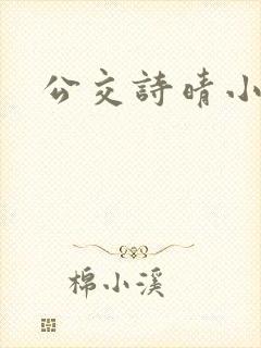 公交诗晴小说封面