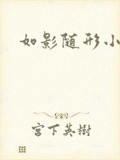 如影随形小说