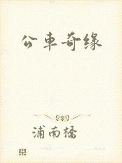 公车奇缘封面