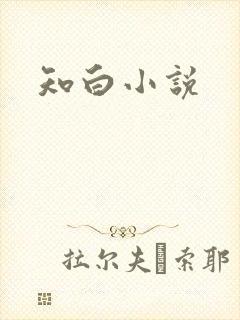 知白小说