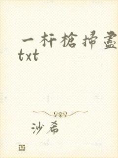 一杆枪扫尽全家txt封面