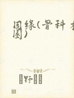 因缘(骨科 校园)