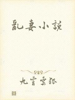 乱妻小说