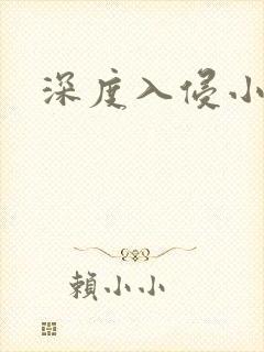 深度入侵小说