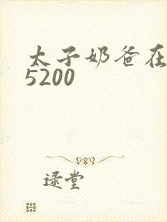 太子奶爸在花都5200封面
