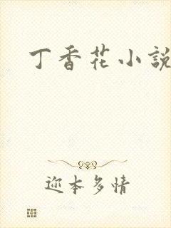 丁香花小说