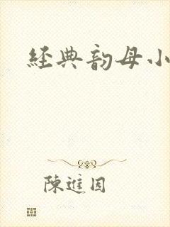 经典韵母小说封面