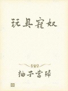 玩具宠奴