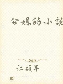 公媳的小说封面