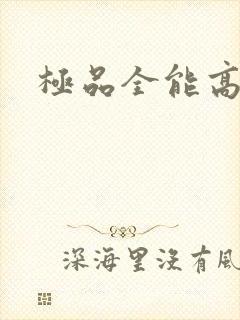极品全能高手封面