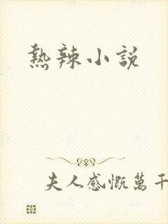 热辣小说