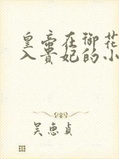 皇帝在御花园进入贵妃的小说封面