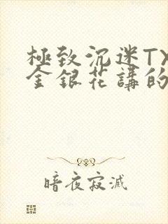 极致沉迷TXL金银花讲的什么