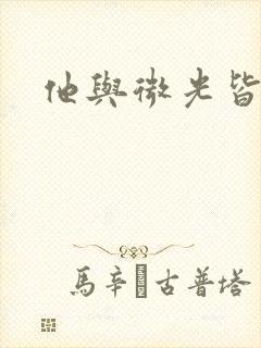 他与微光皆倾城封面