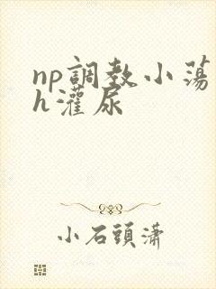 np调教小荡货h灌尿封面