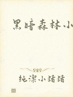 黑暗森林小说封面