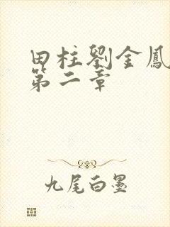 田柱刘金凤小说第二章
