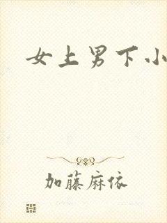女上男下小说