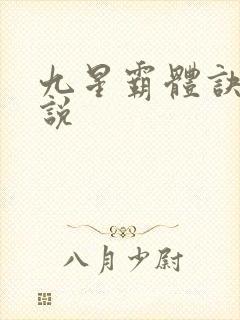 九星霸体诀 小说封面