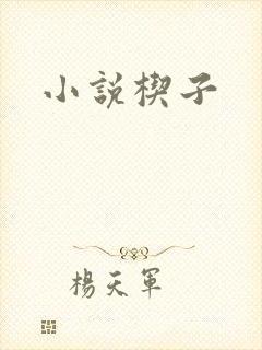 小说楔子封面