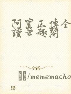 阿宾正传全文阅读笔趣阁封面
