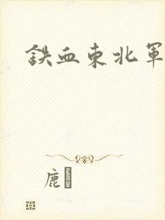 铁血东北军