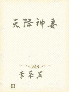 天降神妻