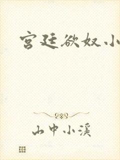 宫廷欲奴小说封面