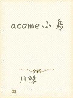 acome小鸟封面