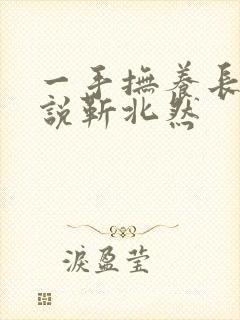 一手抚养长大小说靳北然封面