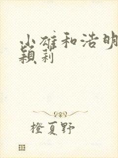 小雄和浩明夹击颖莉封面